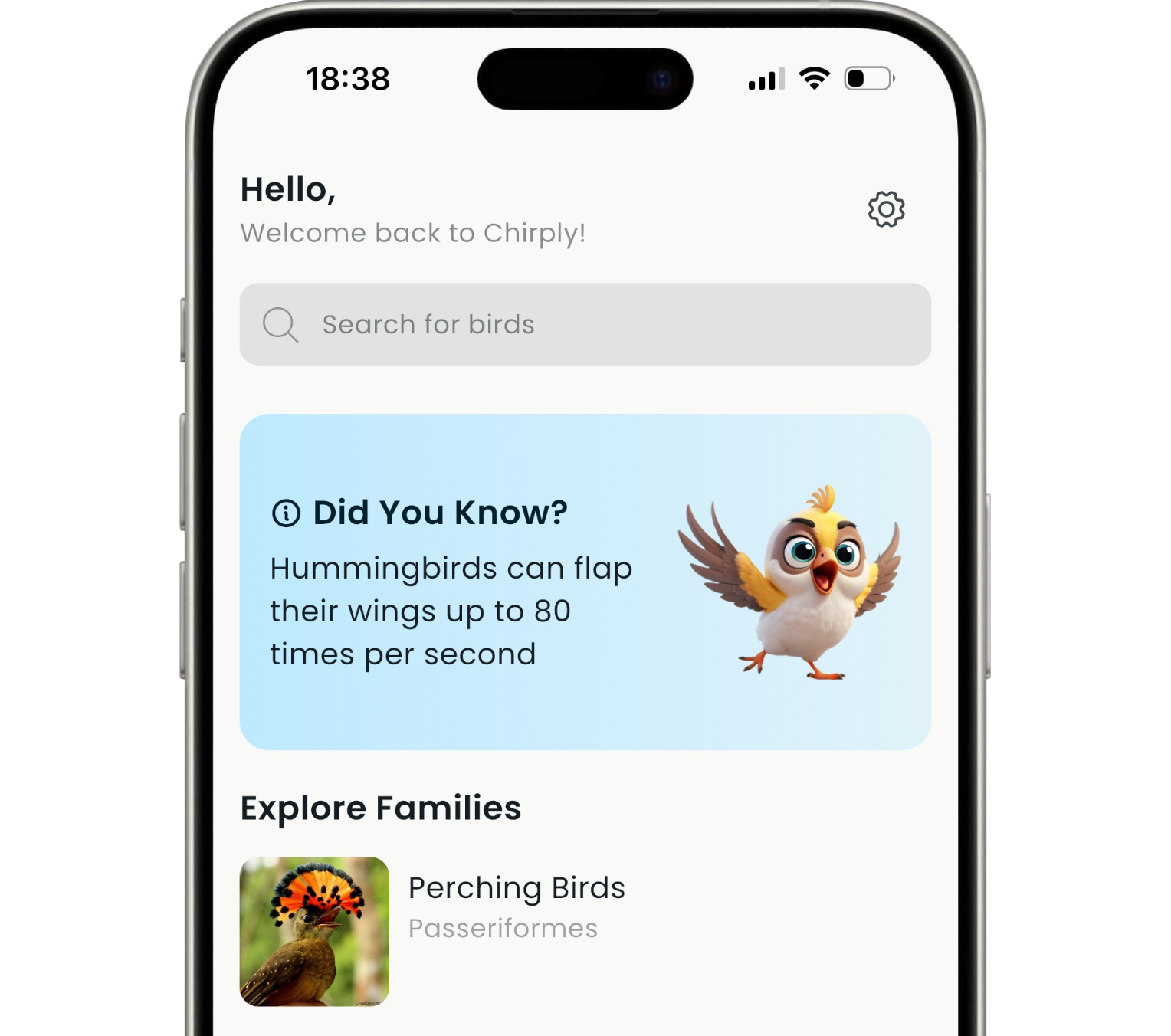 app mockup